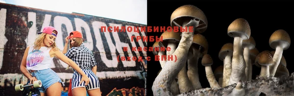 гидропоника Киренск