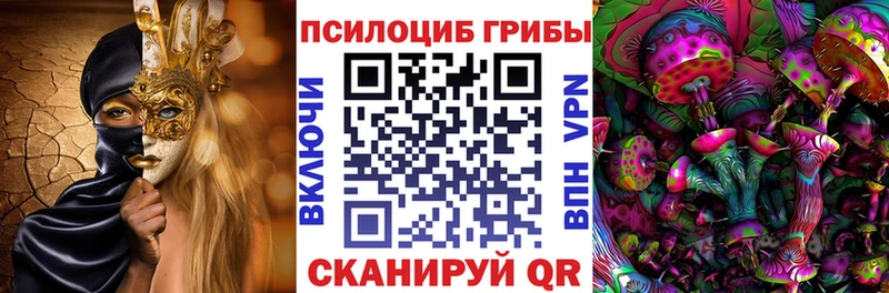 Купить  Жердевка  Галлюциногенные грибы Psilocybine cubensis 